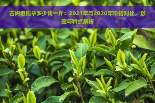 古树老班章多少钱一斤：2021年与2020年价格对比，数量与特点解析