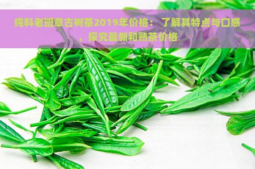 纯料老班章古树茶2019年价格： 了解其特点与口感，探究最新和熟茶价格