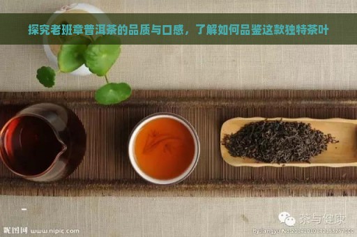 探究老班章普洱茶的品质与口感，了解如何品鉴这款独特茶叶