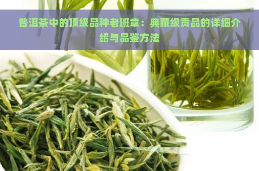 普洱茶中的顶级品种老班章：典藏级贡品的详细介绍与品鉴方法