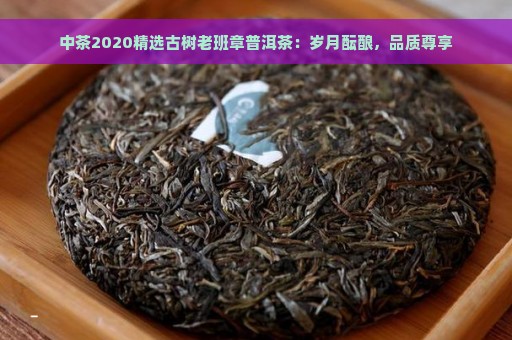 中茶2020精选古树老班章普洱茶：岁月酝酿，品质尊享