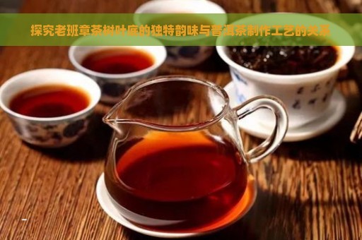 探究老班章茶树叶底的独特韵味与普洱茶制作工艺的关系