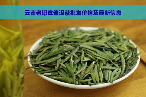 云南老班章普洱茶批发价格及最新信息