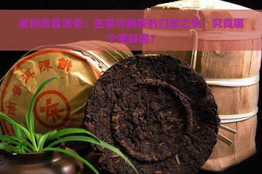 老班章普洱茶：生茶与熟茶的口感之争，究竟哪个更好喝？