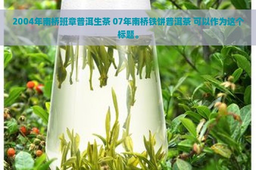 2004年南桥班章普洱生茶 07年南桥铁饼普洱茶 可以作为这个标题。