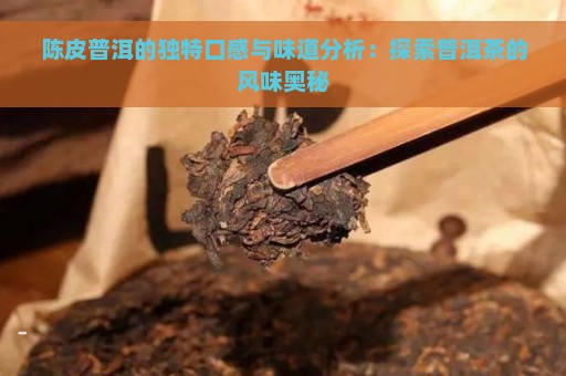 陈皮普洱的独特口感与味道分析：探索普洱茶的风味奥秘