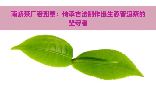 南峤茶厂老班章：传承古法制作出生态普洱茶的坚守者