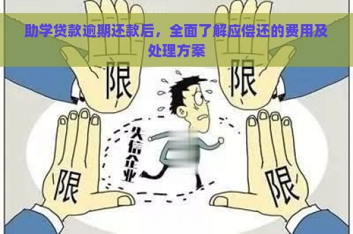 助学贷款逾期还款后，全面了解应偿还的费用及处理方案