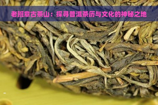 老班章古茶山：探寻普洱茶历与文化的神秘之地