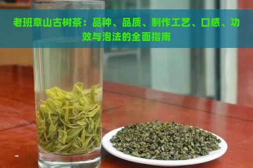 老班章山古树茶：品种、品质、制作工艺、口感、功效与泡法的全面指南