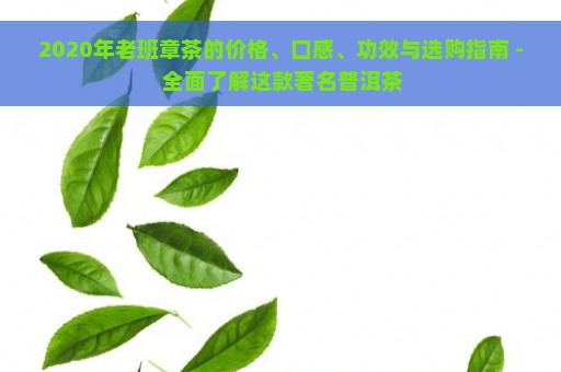 2020年老班章茶的价格、口感、功效与选购指南 - 全面了解这款著名普洱茶