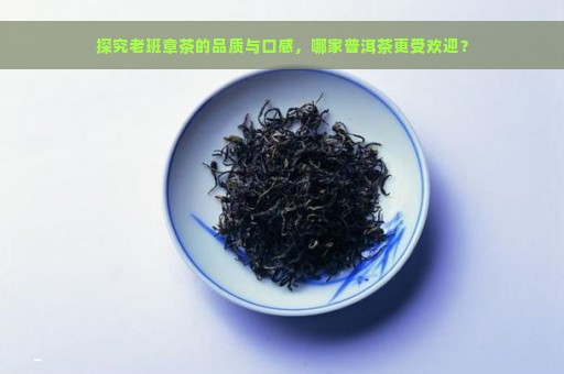 探究老班章茶的品质与口感，哪家普洱茶更受欢迎？