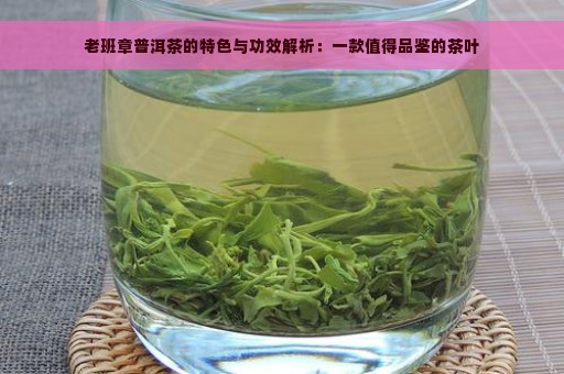 老班章普洱茶的特色与功效解析：一款值得品鉴的茶叶