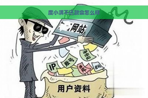 度小满不还款会怎么样