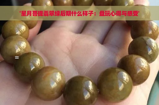 '星月菩提翡翠绿后期什么样子：盘玩心得与感受'