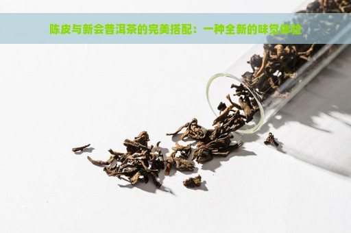 陈皮与新会普洱茶的完美搭配：一种全新的味觉体验