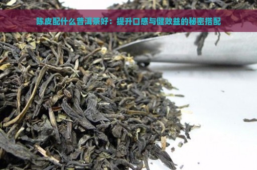 陈皮配什么普洱茶好：提升口感与健效益的秘密搭配