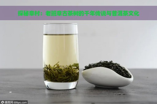 探秘章村：老班章古茶树的千年传说与普洱茶文化