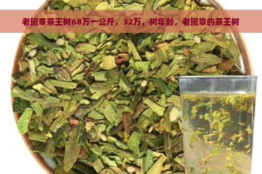 老班章茶王树68万一公斤，32万，树年龄，老班章的茶王树