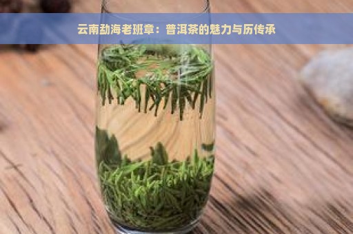 云南勐海老班章：普洱茶的魅力与历传承