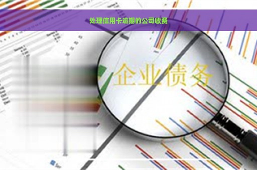 处理信用卡逾期的公司收费