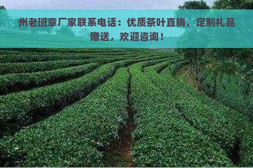 州老班章厂家联系电话：优质茶叶直销，定制礼品赠送，欢迎咨询！