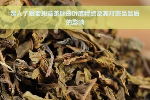 深入了解老班章茶叶的叶底特点及其对茶品品质的影响