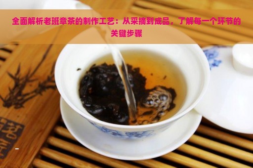 全面解析老班章茶的制作工艺：从采摘到成品，了解每一个环节的关键步骤