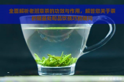 全面解析老班章茶的功效与作用，解答您关于茶的健益处和品饮技巧的疑问