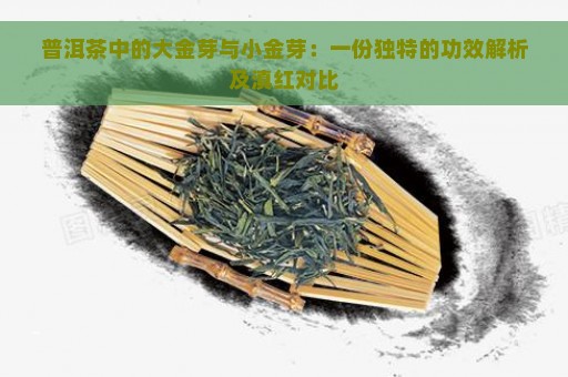 普洱茶中的大金芽与小金芽：一份独特的功效解析及滇红对比