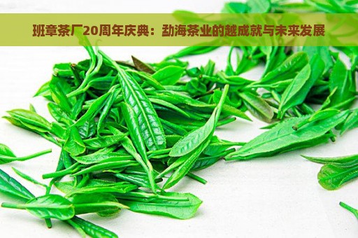 班章茶厂20周年庆典：勐海茶业的越成就与未来发展