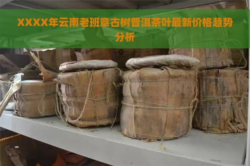 XXXX年云南老班章古树普洱茶叶最新价格趋势分析