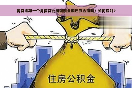 网贷逾期一个月信贷公司强制全额还款合理吗？如何应对？