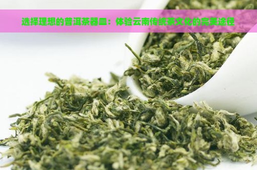 选择理想的普洱茶器皿：体验云南传统茶文化的完美途径