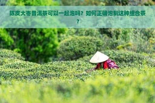 陈皮大枣普洱茶可以一起泡吗？如何正确泡制这种组合茶？