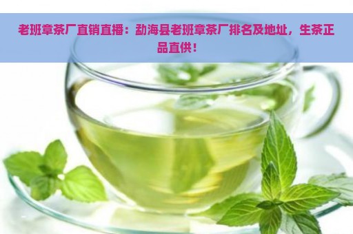 老班章茶厂直销直播：勐海县老班章茶厂排名及地址，生茶正品直供！