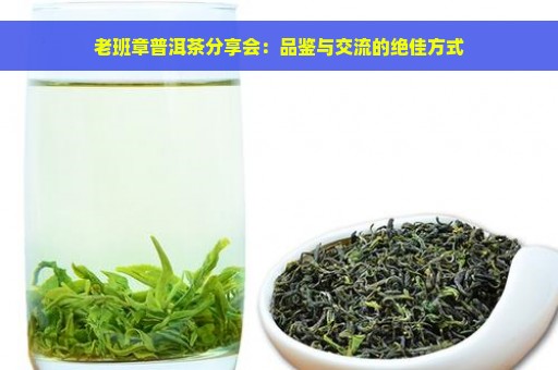 老班章普洱茶分享会：品鉴与交流的绝佳方式