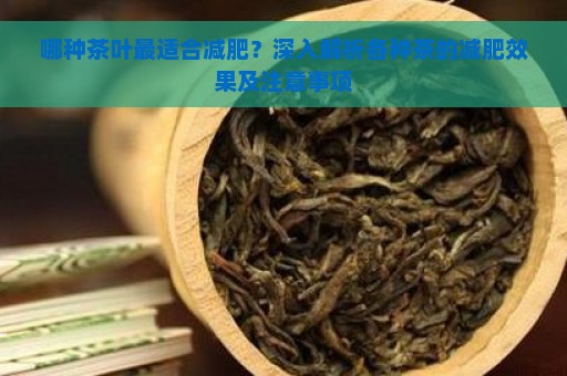 哪种茶叶最适合减肥？深入解析各种茶的减肥效果及注意事项