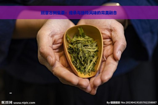 班章古树生茶：传承与独特风味的完美融合