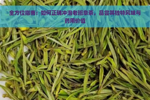 全方位指南：如何正确冲泡老班章茶，品尝其独特风味与药用价值