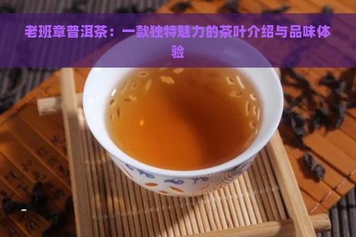 老班章普洱茶：一款独特魅力的茶叶介绍与品味体验