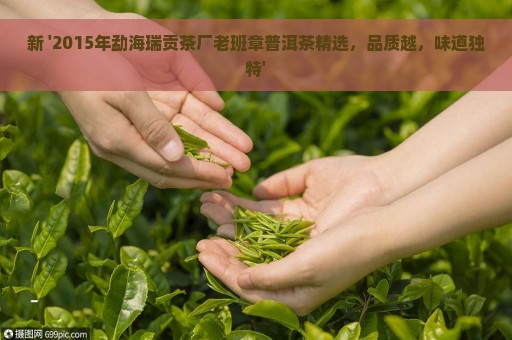 新 '2015年勐海瑞贡茶厂老班章普洱茶精选，品质越，味道独特'