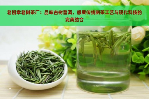 老班章老树茶厂：品味古树普洱，感受传统制茶工艺与现代科技的完美结合