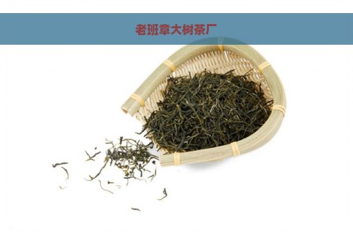 老班章大树茶厂