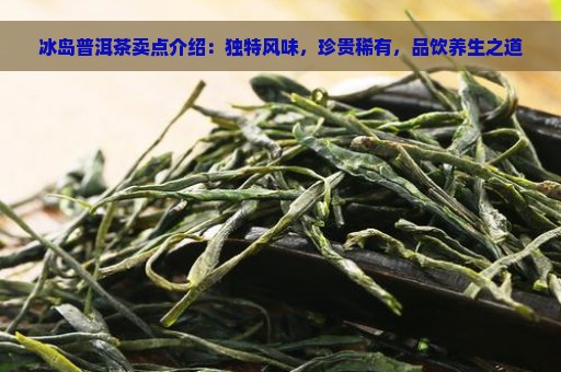 冰岛普洱茶卖点介绍：独特风味，珍贵稀有，品饮养生之道