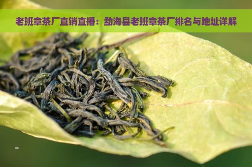 老班章茶厂直销直播：勐海县老班章茶厂排名与地址详解