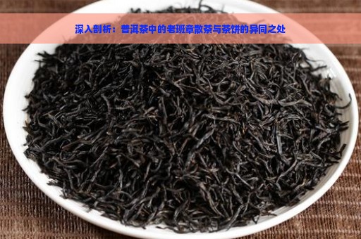 深入剖析：普洱茶中的老班章散茶与茶饼的异同之处