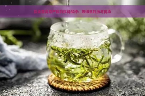 探索普洱茶产区的珍稀品种：老班章的历与传承