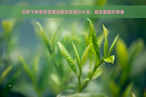 云南下关老班章普洱茶批发报价大全：最全最新价格表