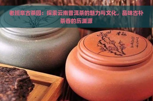 老班章古茶园：探索云南普洱茶的魅力与文化，品味古朴茶香的历渊源